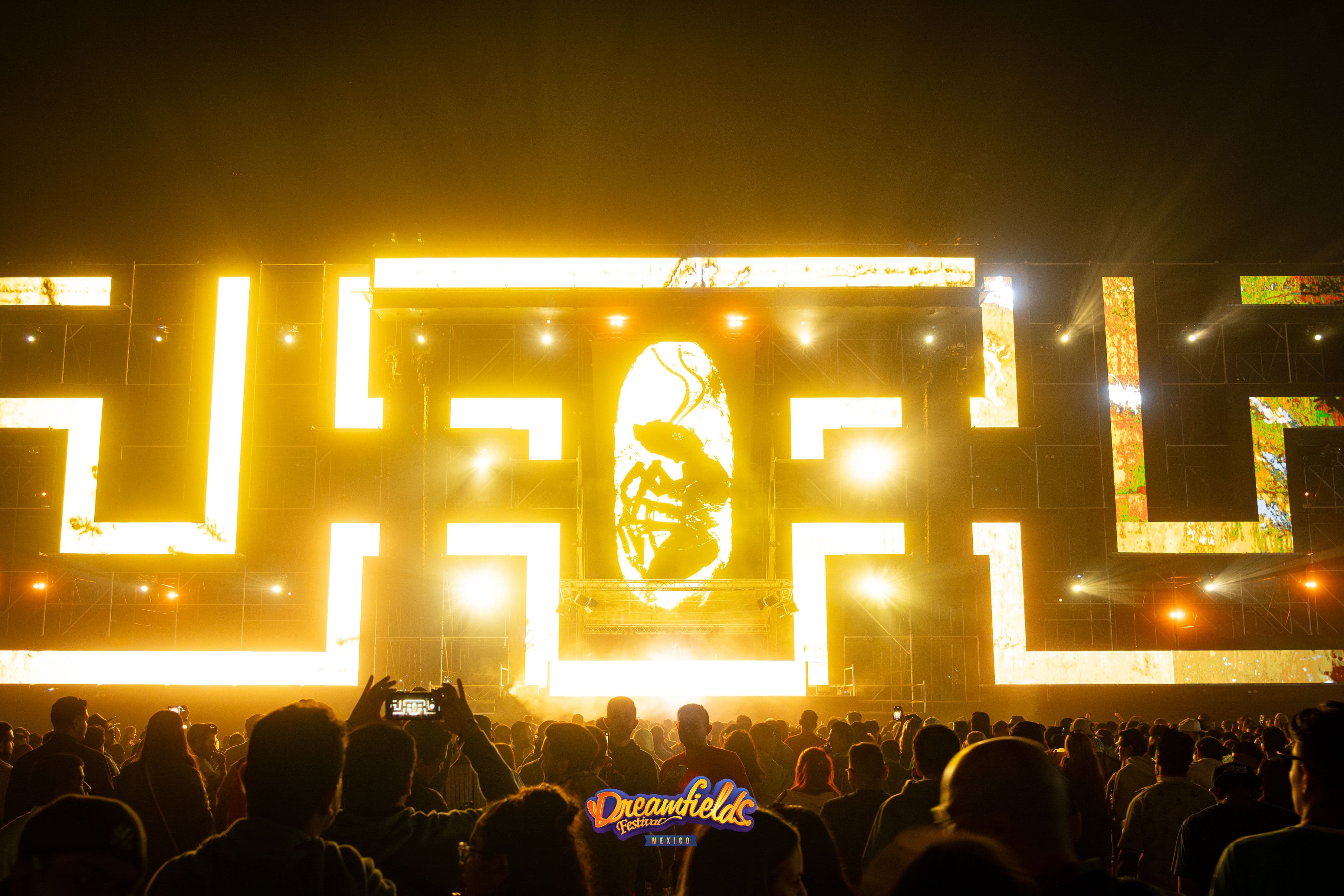 Galería Dreamfields